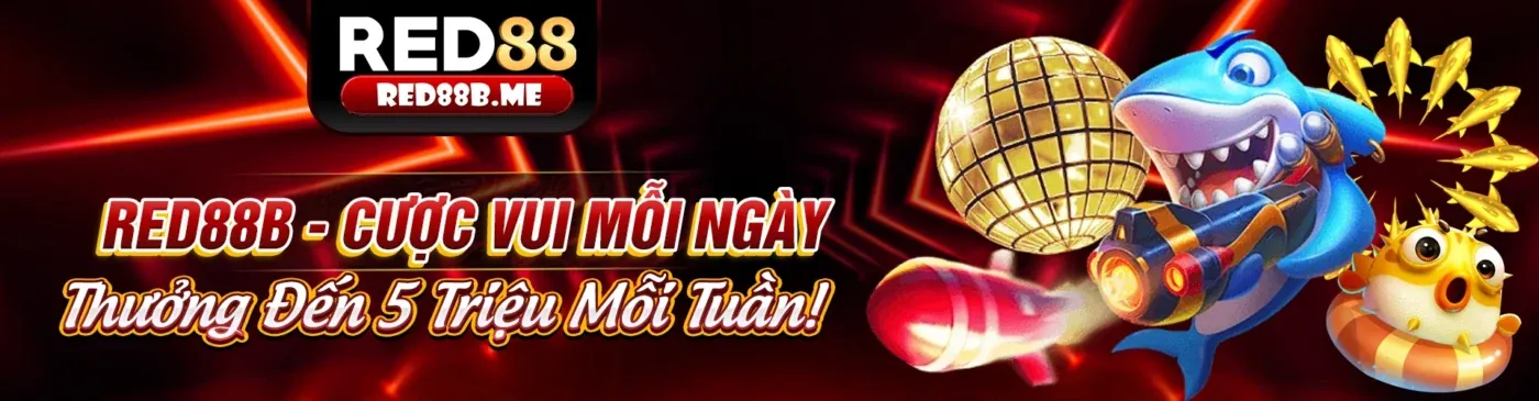 Người chơi bình tĩnh quản lý rủi ro cá cược